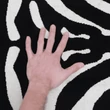 Kép 9/10 - Szőnyeg, minta zebra, 200x250, ARWEN